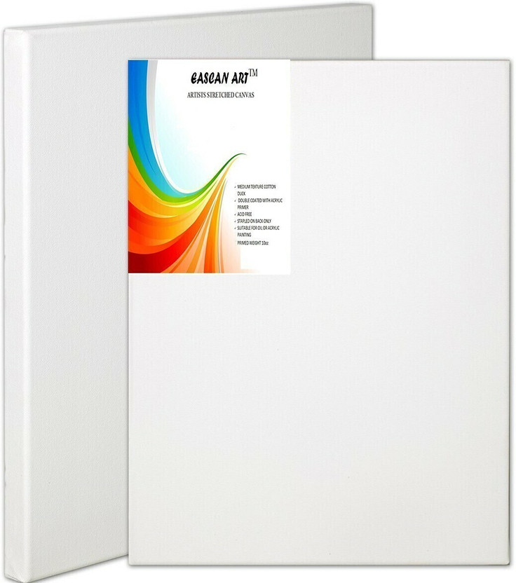 Eascan Art 16" X 16" Cotton Medium Grain Pre Stretched Canvas (Set of 1)(White)