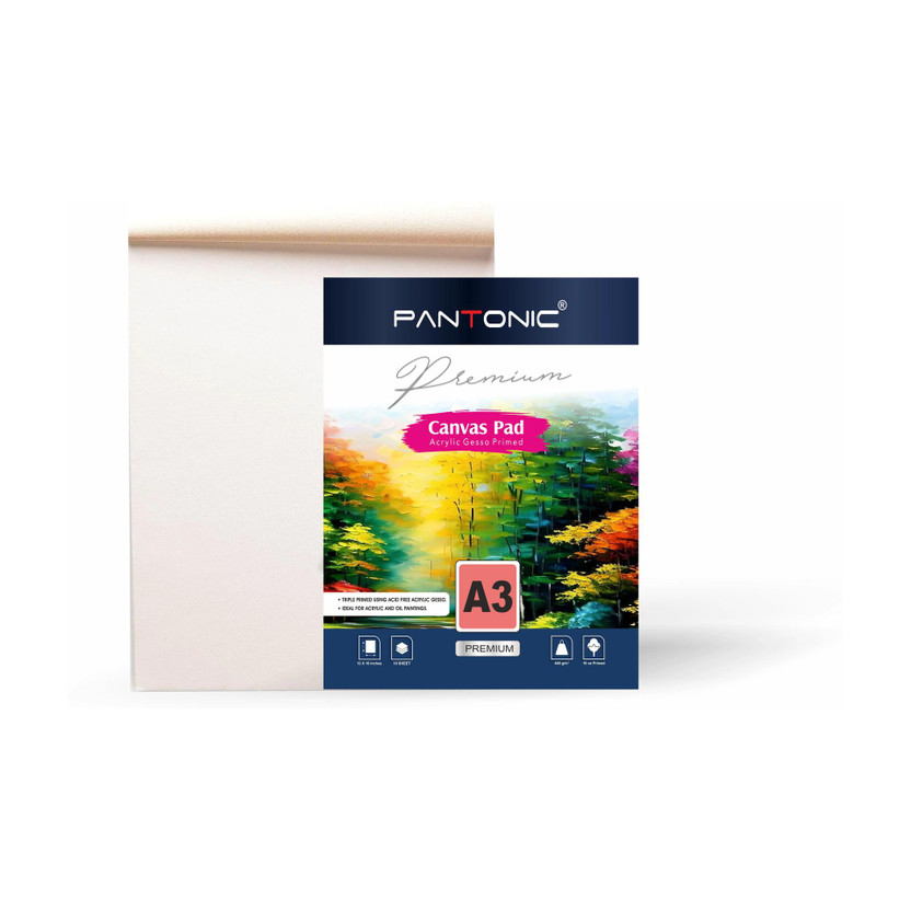 PANTONIC PANTONIC A/3 PROFESSIONAL CANVAS PAD Cotton Medium Grain Canvas Pad (Set of 1)(White) - Flipkart Deal