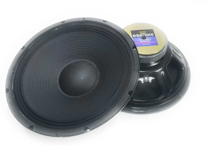 Biggtone 12 Inch DJ Woofer High Power Bass Speaker for Professional Sound Systems Black Subwoofer(Powered , RMS Power: 150 W)