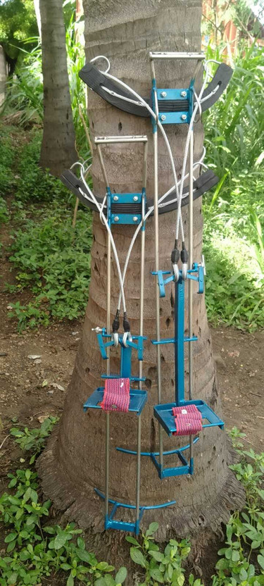 SARA SARA Heavy duty Coconut Tree Climbing Tool Safety Harness(XL) - Flipkart Deal