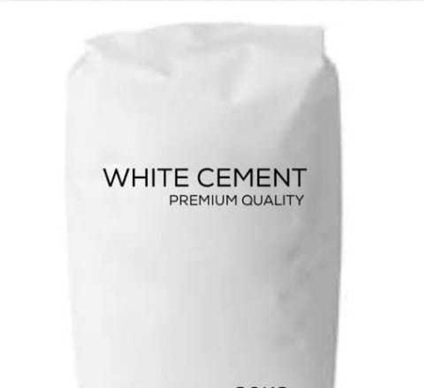 World Wide Villa WHITE CONTACT CEMENT (470 GRAMS) Contact Cement Price