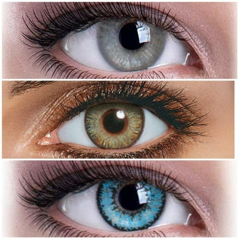 ShopGlobal Daily Disposable(0.0, Colored Contact Lenses, Pack of 3)