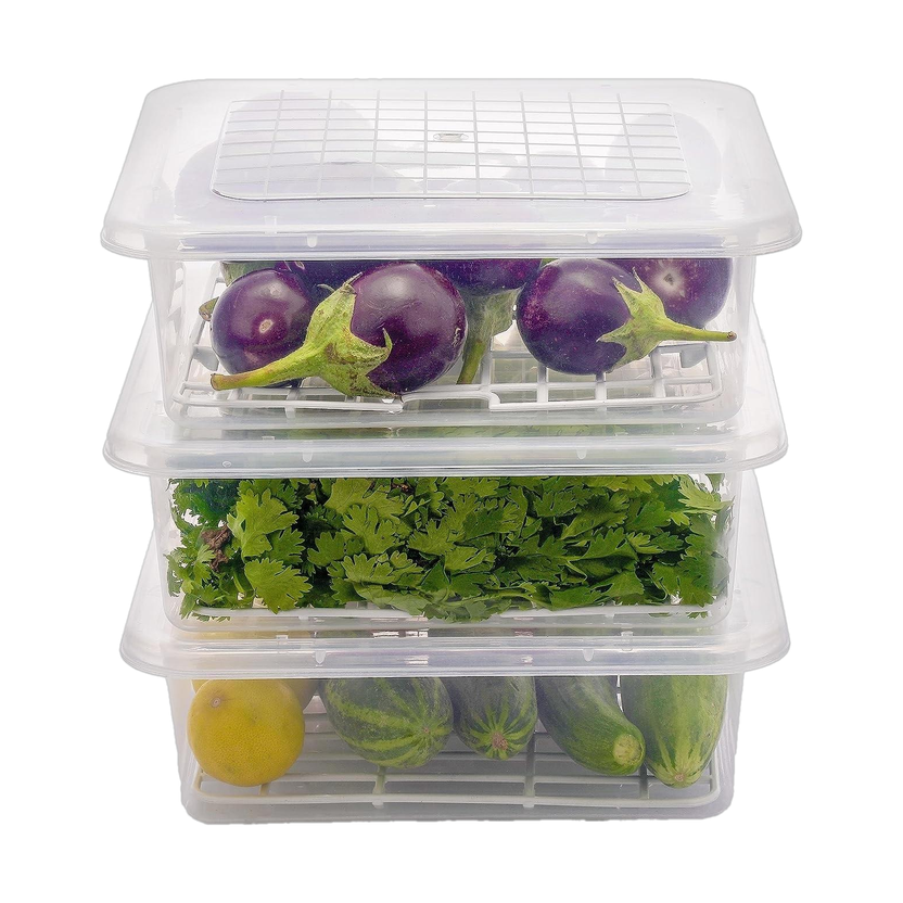 Flipkart SmartBuy Stainless Steel Fridge Container  - 2500 ml(Pack of 3, Clear)