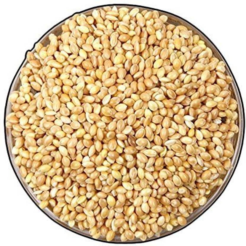 Veganic Foxtail Millet For Birds Kangni Seed Bird Food Price in