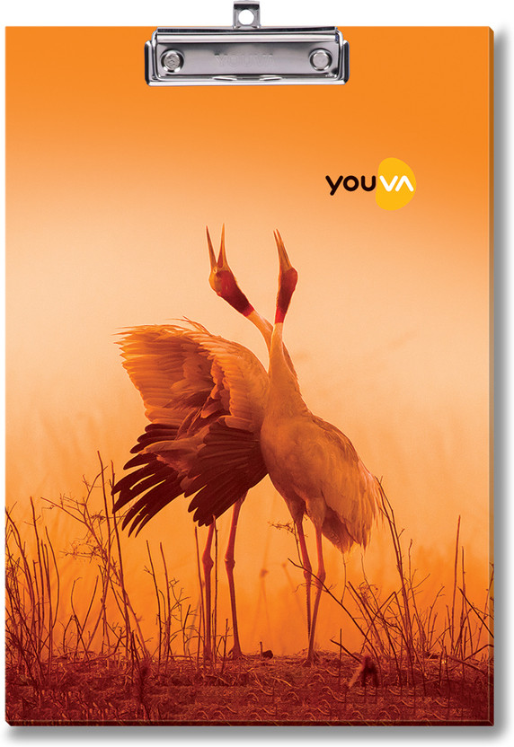 Youva Regular Exam Board for students-Clip Board-Fullscape-24 cm x 34.5 cm(Set of 1, Multicolor)