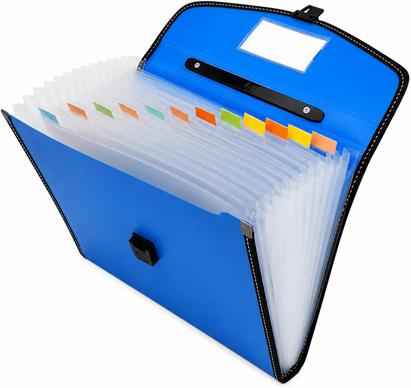 Verathix Durable Polypropylene Office Filing Organizer(Set Of 1, Blue)