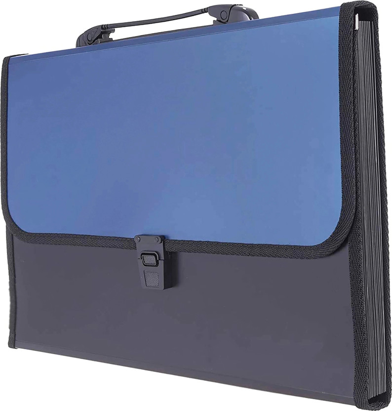 NIVIZEN Plastic 13 Pockets Expanding File Folder for Documents, Certificates, Letter A4 Size Organizer with Carry Handle(Set Of 1, Multicolor)