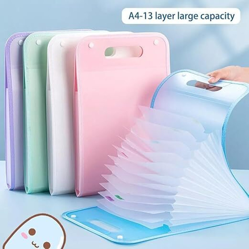 DevRosh DevRosh Tear-Resistant Polypropylene File Storage Organizer(Set Of 1, Multicolor) - Flipkart Deal