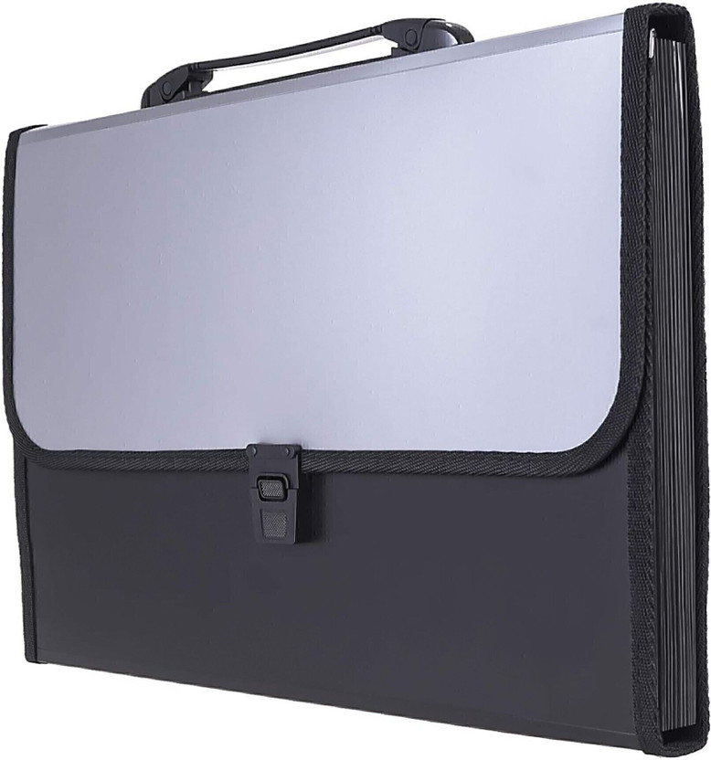 NIVIZEN Expanding Plastic File Folder 13 Pockets for Documents, Certificates, Letter A4 Size File Organizer with Carry Handle(Set Of 1, multicolors)