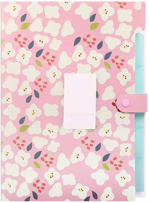 IORAA 6 Pockets Expanding File Folder for Documents Certificates Letter A4 Size