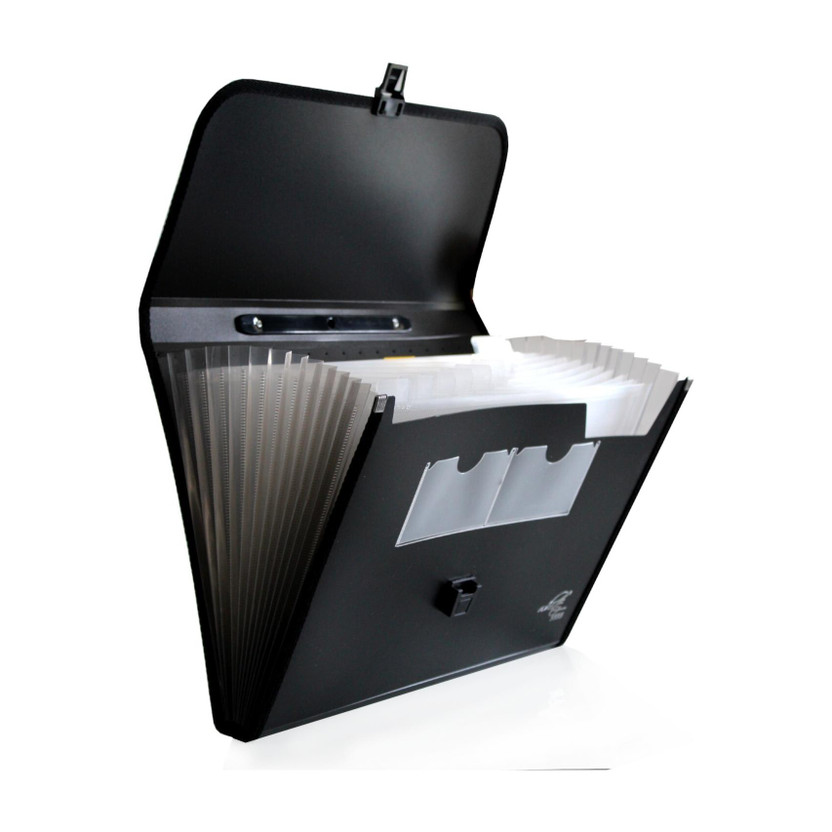 White Platinum Plastic A4 Size(Set Of 1, Black, Blue)