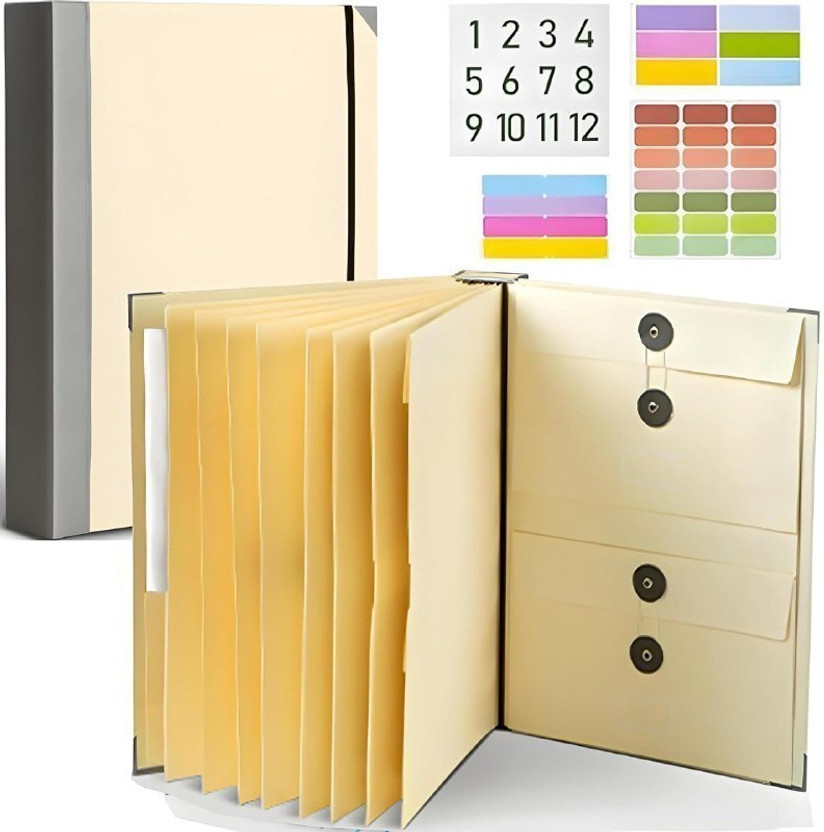 SYVSTORE Paper Document Organizer File Folder(Set Of 1, Multicolor)