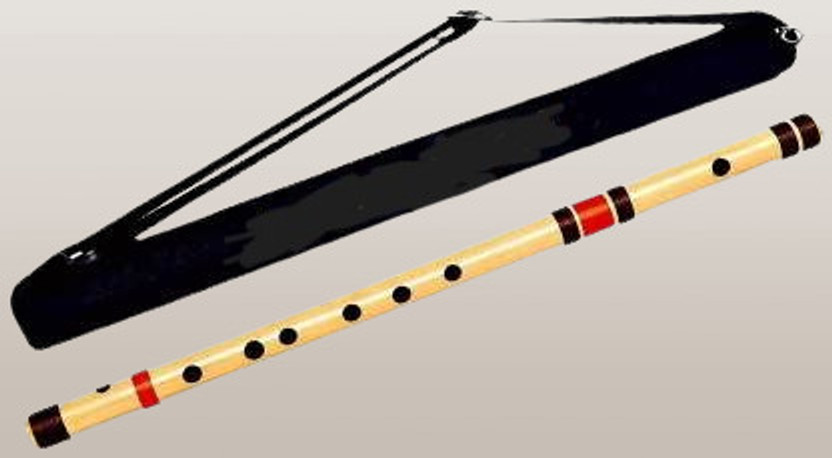 BestBrother C Natural 19 inch 7 Hole Professional & Beginners Best With Bag Bamboo Flute(47 cm)