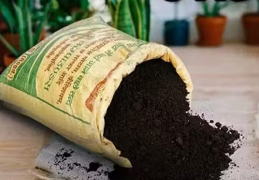 shreeshanx 5KG Vermicompost Fertilizer for Plants & Home Garden Fertilizer(5 kg, Powder)