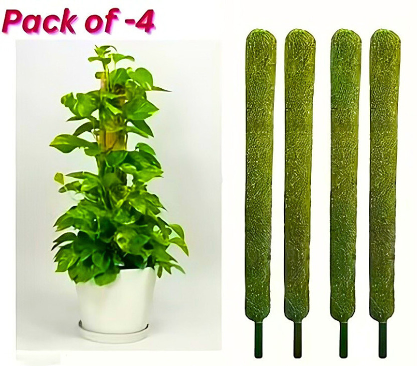 Nikhat Moss Stick for Money Plant, Climbing Indoor Plants (Set of 4) Garden Mulch(Brown 0.2 kg)