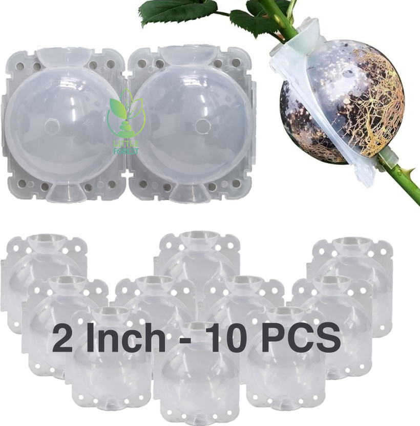 LittleForest 2 Inch Plastic Rooting Ball 10 PC Transparent Garden Tool Kit(10 Tools)