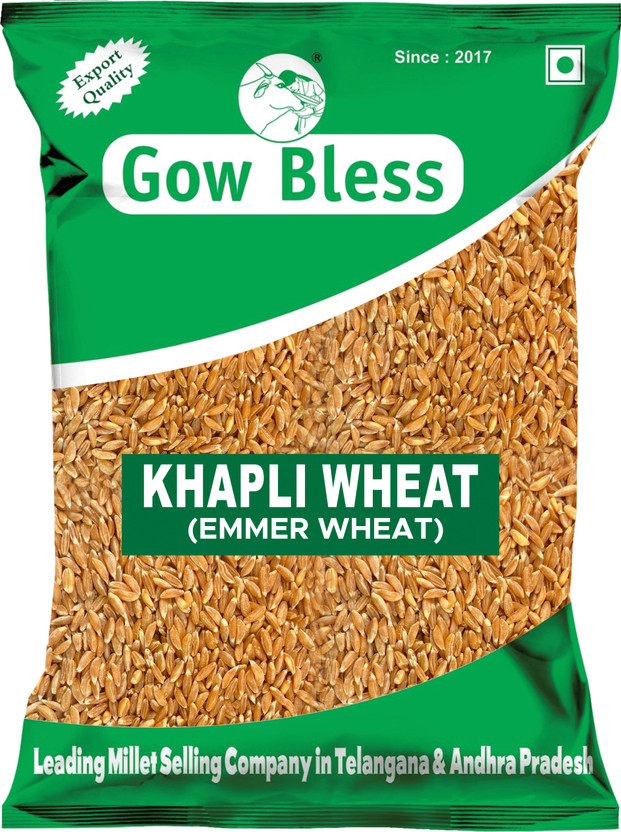 Gow Bless Khapli Wheat (Emmer Wheat) – 1kg | Low Gluten |Ancient Grain Whole Wheat(1 kg)