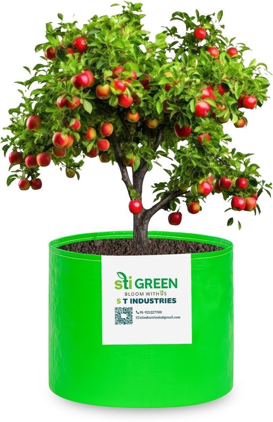 STIGREEN STIGREEN Grow Bag 24x24 Premium HDPE UV Protected Heavy Duty Grow Bag 260 GSM Grow Bag - Flipkart Deal