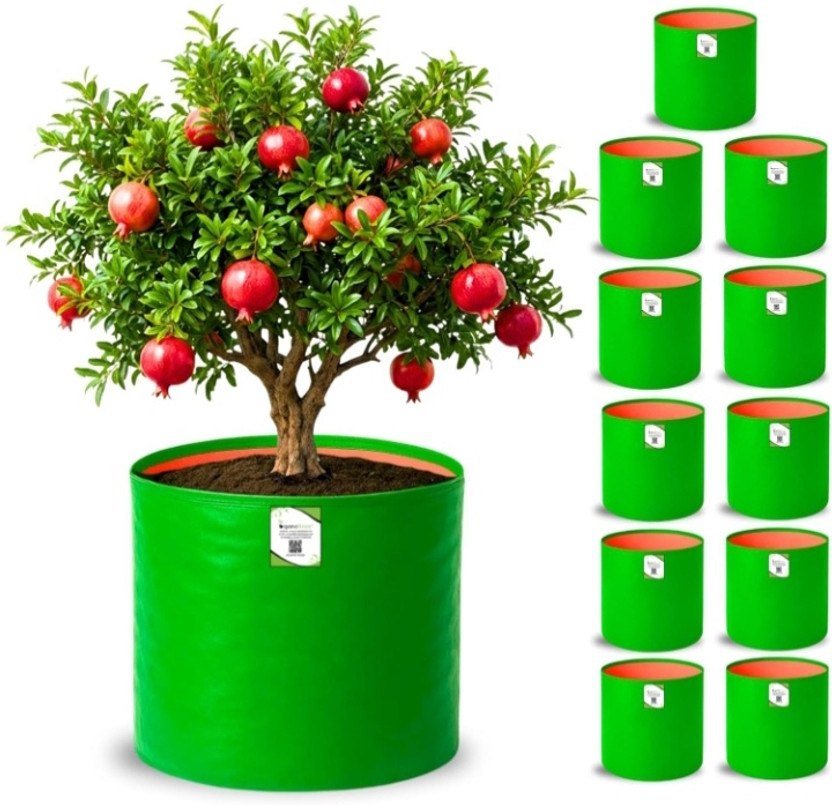 Original bull 12 x 12 inch HDPE 250gsm Terrace Gardening, Fruits Planting bags . PACK OF 10 Grow Bag