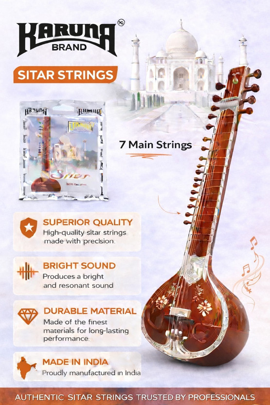KARUNA Acoustic SITAR WITH TARAFDAAR STRING SET 18 A49 Guitar String(18 Strings)
