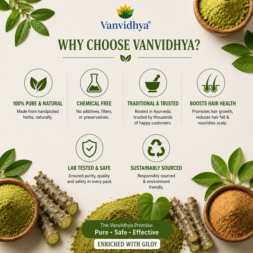 vanvidhya vanvidhya Giloy powder DIY Herbal Hair Growth Powder for Hair Mask & Hair Pack (50g)(100 g) - Flipkart Deal