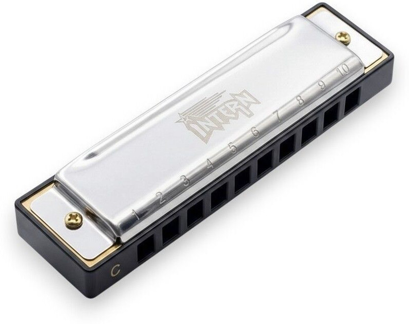 intern Mouth Organ Key C 10 Holes Diatonic Harmonica Professionals and Beginners(SILVER)