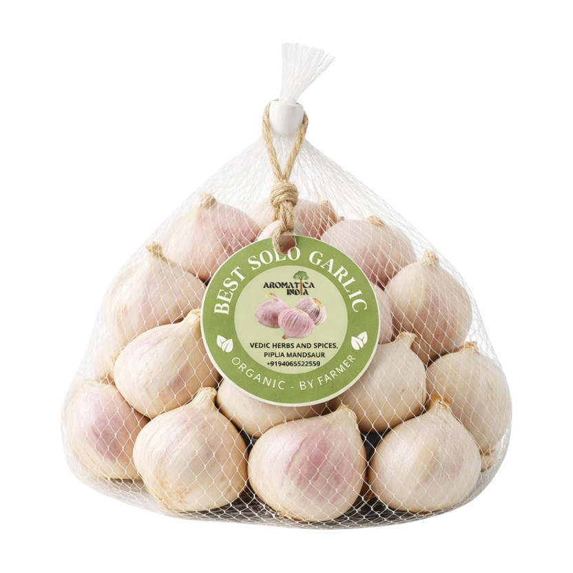 Aromatica India Single Clove Garlic Ekal kuli lehsun Ek pothi(250 g)