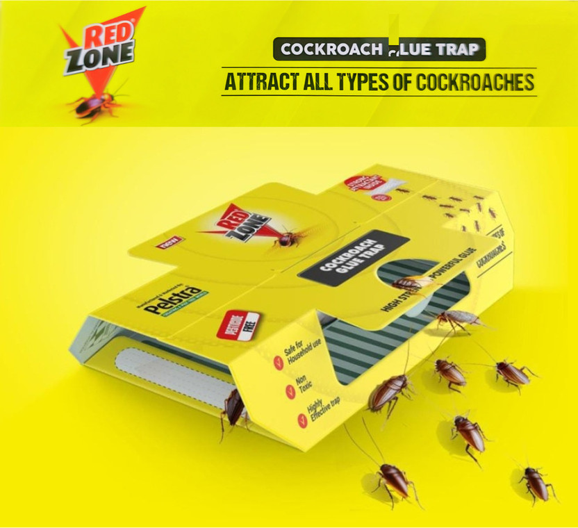 DANEV DANEV Cockroach and Insect trap for Home, Office, Kitchen, Pack of 5 -(5 x 1 Units) - Flipkart Deal