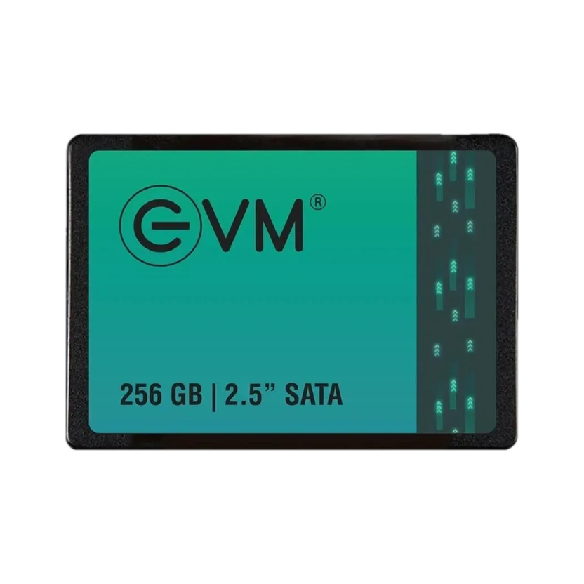 EVM EVM25 256 GB All in One PC's, Desktop, Laptop Black SATA Internal Solid State Drive (SSD) (EVM25/256GB)(Interface: SATA, Form Factor: 2.5 Inch)