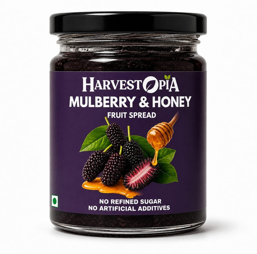 Harvestopia Mulberry & Honey Fruit Spread | Real Ingredients | No Refined Sugar(200 g)