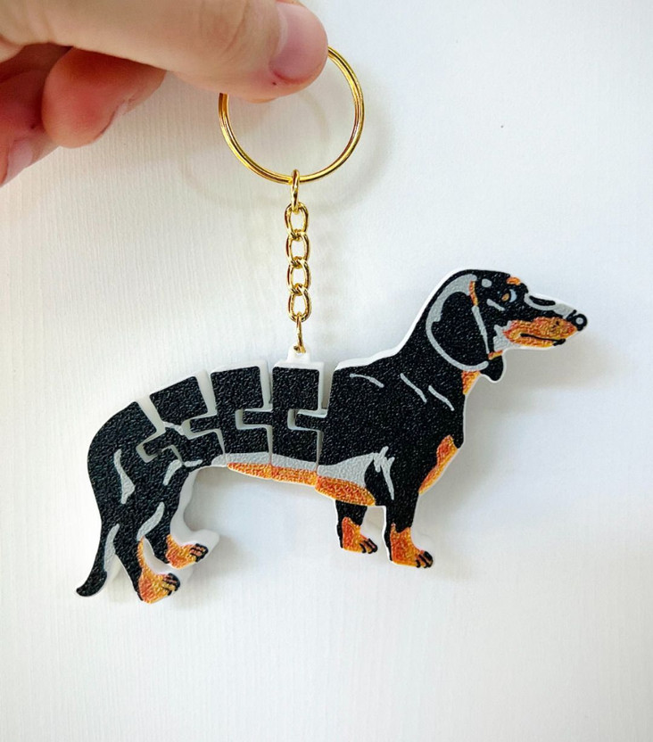 Shivansh Engineering 186 Key Chain