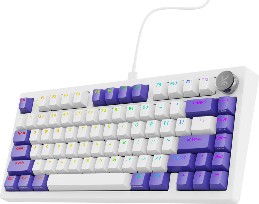 Kreo Hive RGB 75% Wired Mechanical Gaming Keyboard, Hot Swappable, Anti-ghosting Wired USB Tenkeyless Gaming Keyboard Compatible with Desktop, Laptop, Mac(White Purple, Brown Switches)