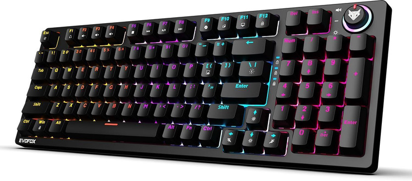 EVOFOX Katana X2 Mechanical Dynamic Backlighting Wired USB Standard Gaming Keyboard Compatible with Desktop, Laptop(Black)