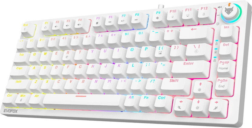 EVOFOX Katana X2 TKL Mechanical Wired USB Tenkeyless Gaming Keyboard Compatible with Desktop, Laptop, Mac(White)