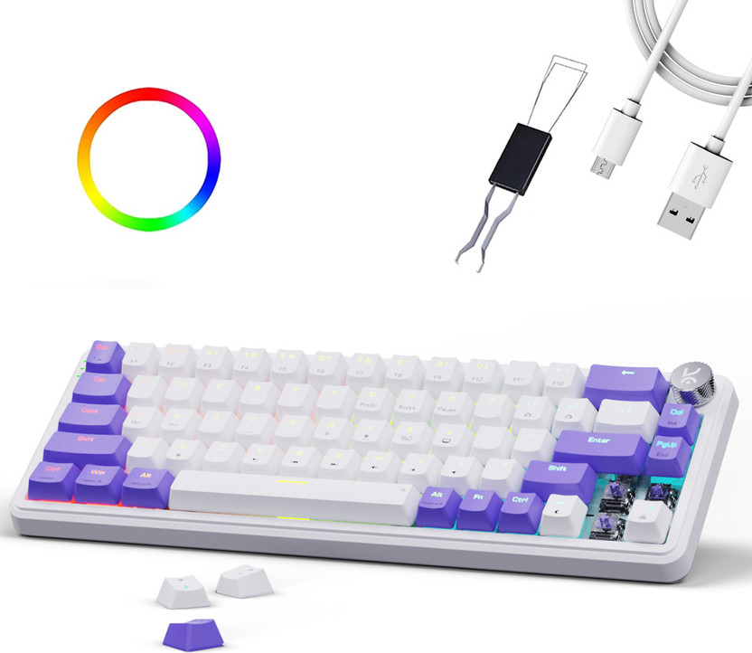 Kreo Hive 65% Compact Mechanical Gaming Keyboard Wired, Rgb & Multi OS Customizable Wired USB Laptop-size Gaming Keyboard Compatible with Desktop, Laptop(White, Purple)