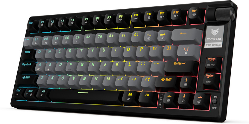 EVOFOX Ronin TKL RGB Mechanical Wireless Tenkeyless Gaming Keyboard Compatible with Desktop, Laptop, Mac(Black)