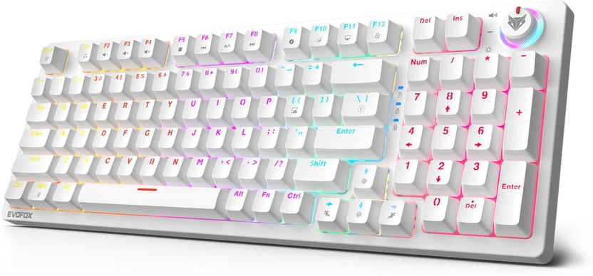 EVOFOX X2 Mechanical Wired USB Standard Gaming Keyboard Compatible with Desktop, Laptop, Mac multimedia_keys(White)