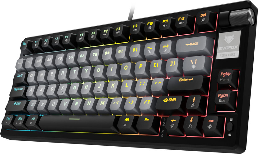 EVOFOX Ronin TKL RGB Mechanical Wired USB Tenkeyless Gaming Keyboard Compatible with Desktop, Laptop, Mac(Black)