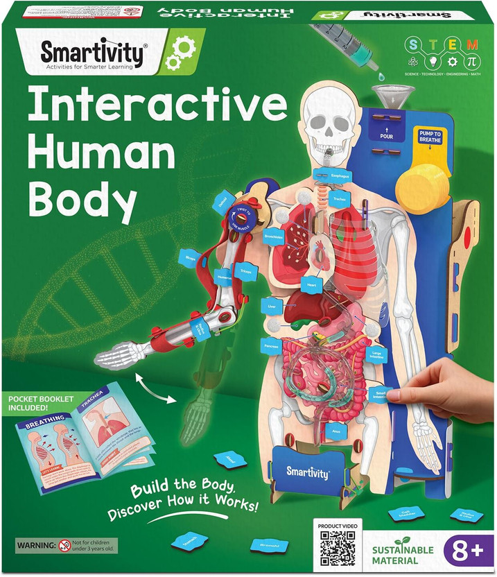 Smartivity Interactive Human Body Model for Kids 8–14 | Dynamic Organs | STEM Learning Toy(Multicolor)