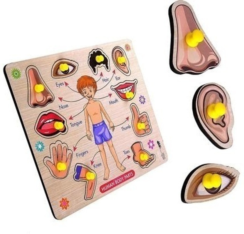 PopPlop Wooden Human Body Parts Puzzle with Knobs, Montessori Educational Learning Toys(Multicolor)