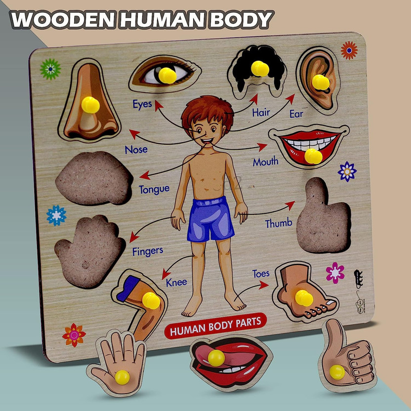 Plus Shine Body Parts Anatomy Skeleton Learning Body Part Puzzle Kids Wooden Toys for Kids(Beige, Multicolor)