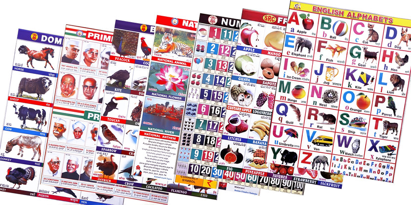 Nivita Learning Charts,Alphabet, Numbers, Birds,Fruits,Animals,Symbols,Minister,Pack -7(Multicolor)