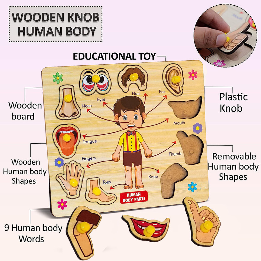 SHALAFI Baby Learning Toys Montessori Wooden Human Body Parts Puzzle With Picture(Beige, Multicolor)