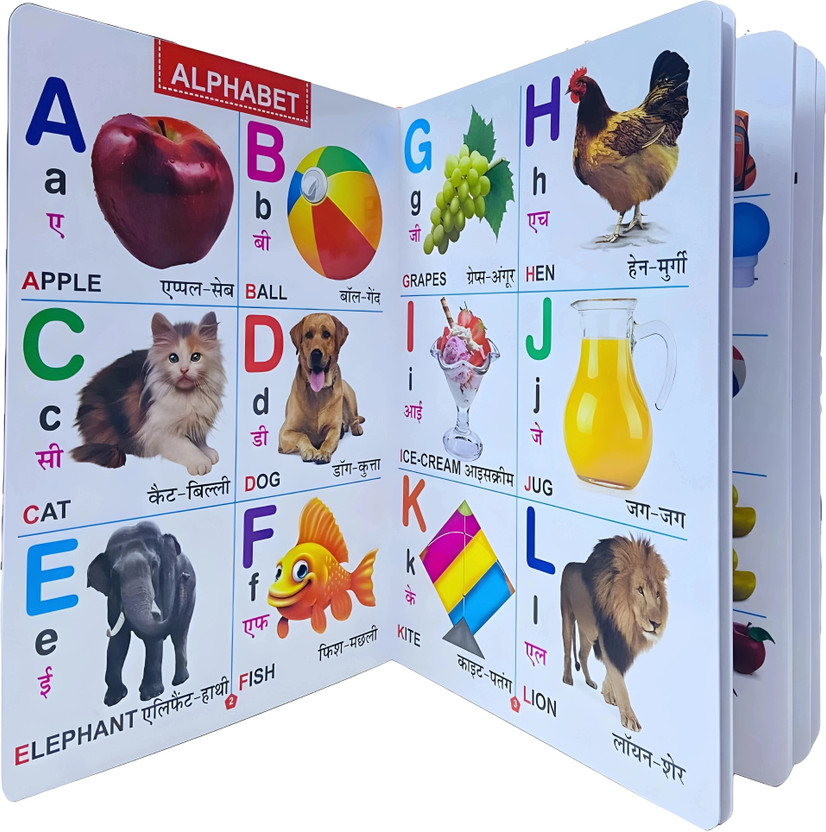 GAMLOID All in one for Pre-nursery to Primary Kids (My Favourite Big Plastic Board Book)(Multicolor)