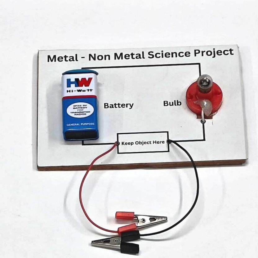ERHIndia Metal and Non Metals Science Project Working Model Kit for Class 10(Multicolor)