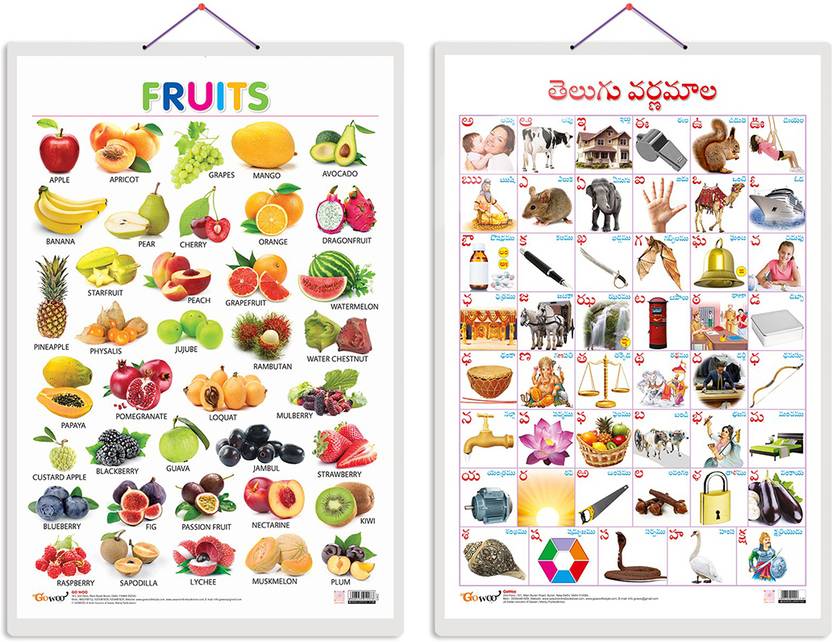 GO WOO Pack of 2 Fruits and Telugu Alphabet?(Telugu) Educational charts