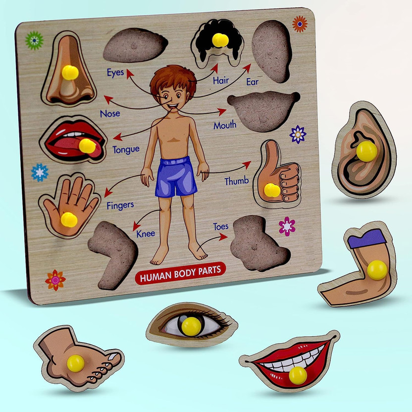 Plus Shine Kids Body Part Puzzle Wooden Toys for Kids Jigsaw Board Game Baby Learning Toys(Beige, Multicolor)