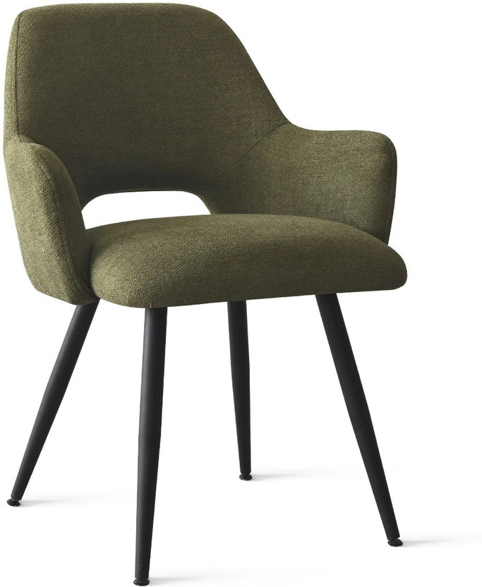 Finch Fox Motel Luxurious Home Collection Upholstery Fabric Arm Dining Room Chair Fabric Living Room Chair(Finish Color - Green, DIY(Do-It-Yourself))