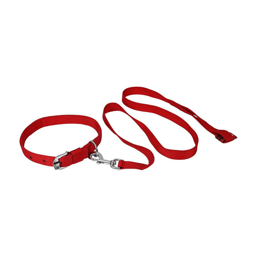 TommyChew Regular Dog Everyday Collar(Medium, Red)