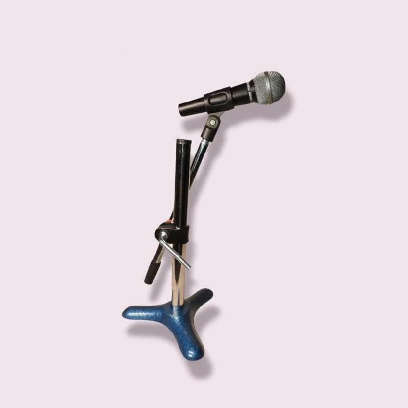 WON Brand Mic boom stand 24 inch foldable Stand for Mic(Black)